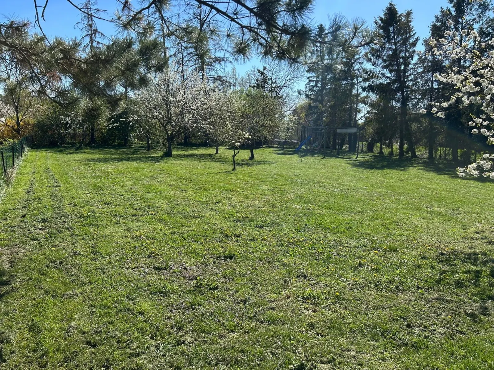Grundstück in Achau - Ihr Eigenheim auf 1190m² - 6/8