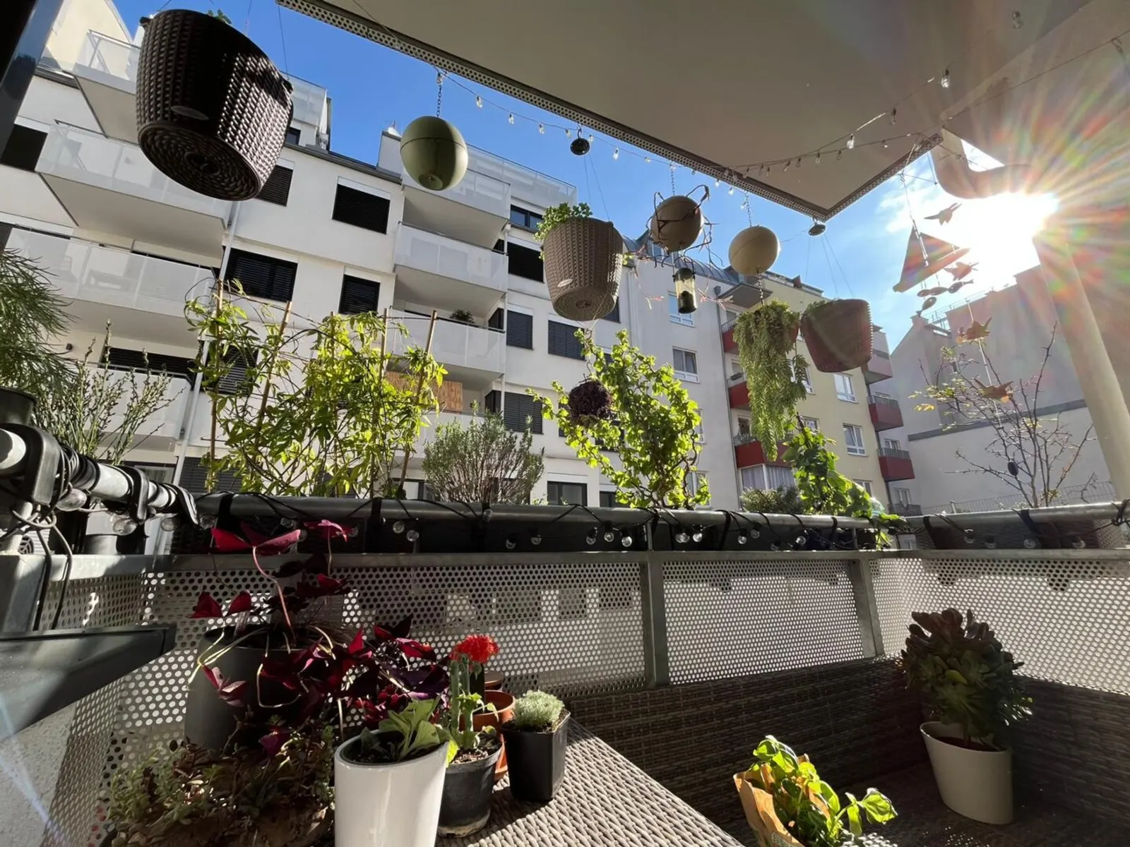 Stadt & Ruhe vereint: Stylische 2-Zimmer-Wohnung mit Loggia - 6/8